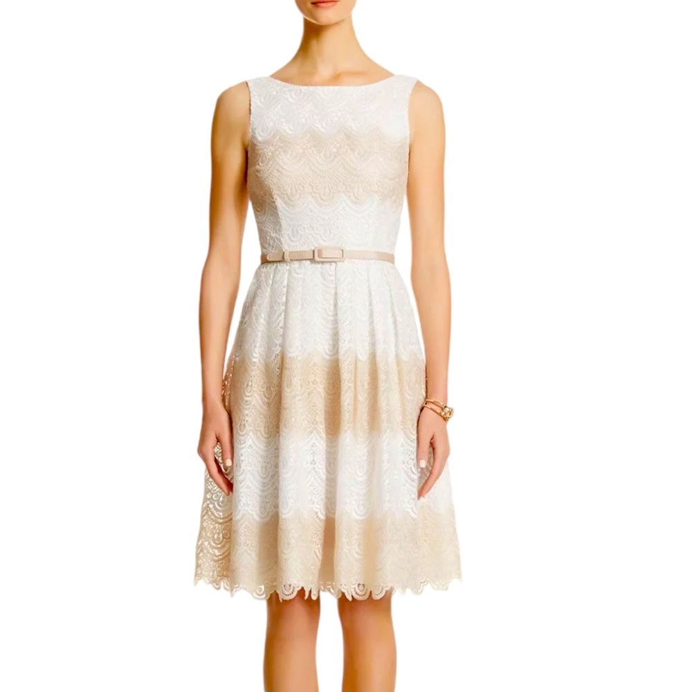 White House Black Market Beige and White Striped Lace Fit & Flare Dress Size 8